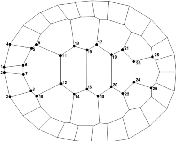 Figura 2: Desenho dos escudos do plastrão de Mesoclemmys hogei mostrando  a posição dos 20 marcos anatômicos