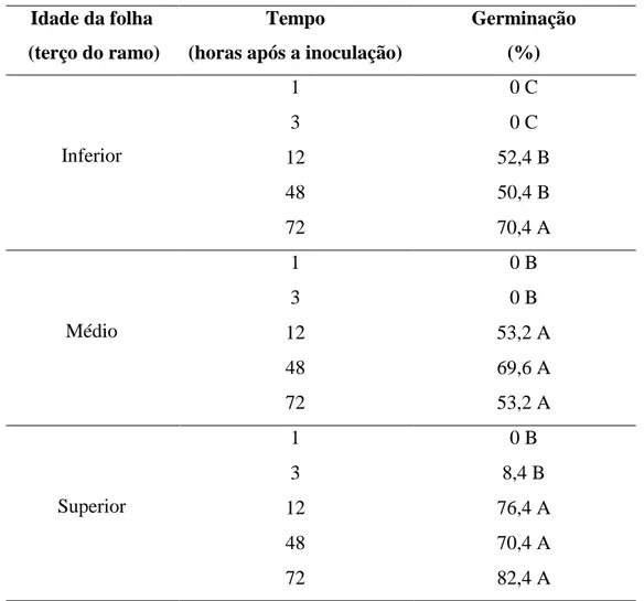 Tabela 1. Porcentagem de germinação de conídios de Colletotrichum theobromicola na  superfície  adaxial  de  folhas  de  eucalipto  urograndis  (clone  CPC  006),  oriundas  dos  terços inferior (primeira e segunda), médio (terceira e quarta) e superior (q