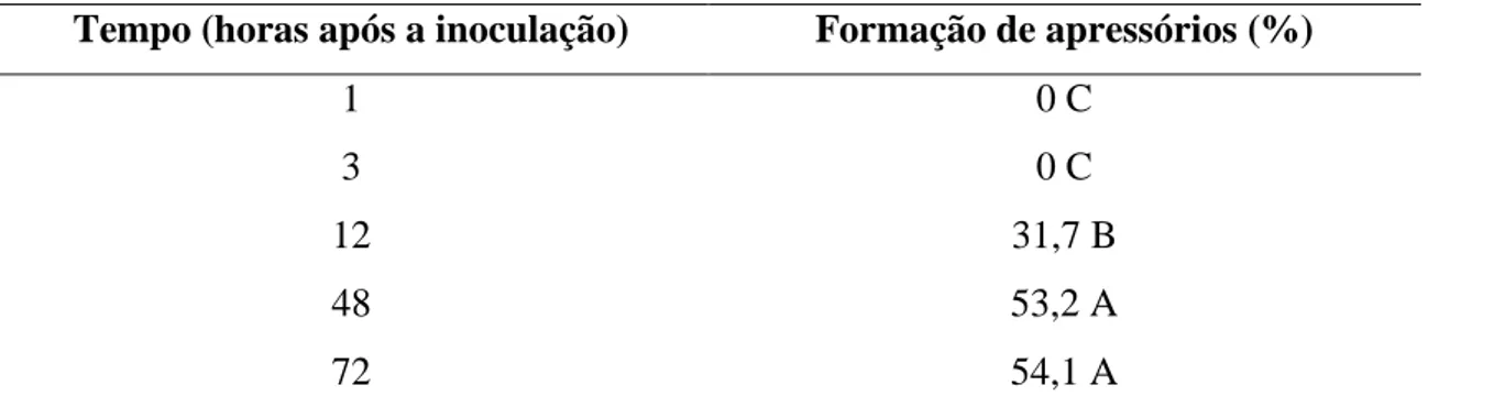 Tabela 2. Porcentagem de formação de apressórios de Colletotrichum theobromicola na  superfície adaxial de folhas de eucalipto urograndis (clone CPC 006), sob luz contínua,  em relação ao tempo após a inoculação