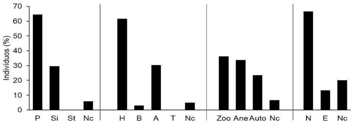 Figura  2.  Distribuição  percentual  dos  indivíduos  do  banco  de  sementes  da  área  minerada em restauração  em categoria sucessional  (P:  pioneira; Si:  secundária  inicial),  forma  de  vida  (H:  herbácea;  B:  arbustiva;  A:  árvore;  T:  trepad
