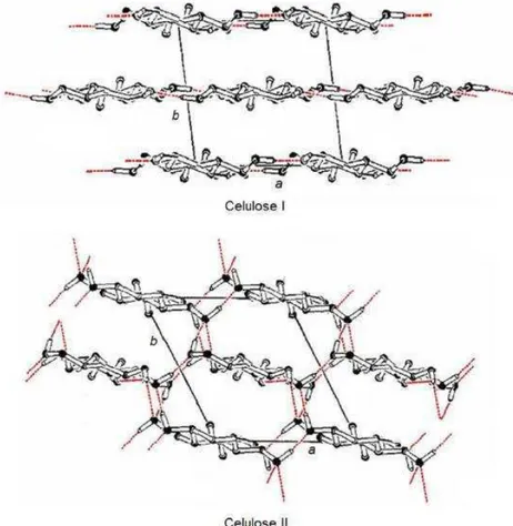 Figura 2  – Projeções das celas unitárias da celulose I e II (KROON- (KROON-BATENBURG &amp; KROON, 1997)