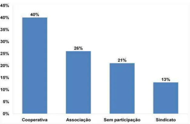 Figura  4.  Percentual  de  participação  dos  produtores  de  leite  em  associações,  cooperativas e sindicatos e sem participação alguma