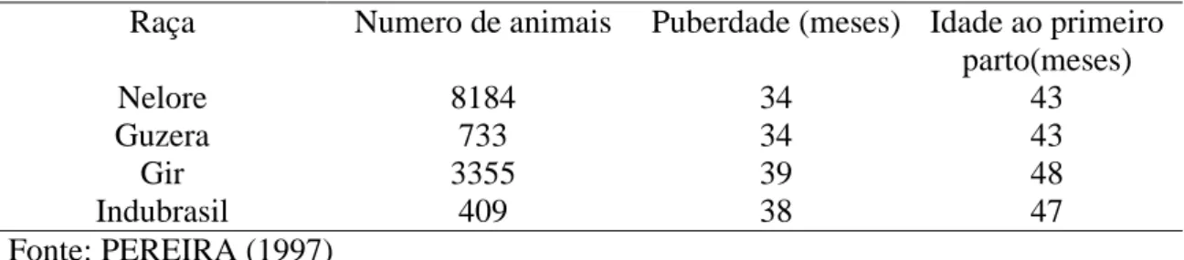 Tabela  2:  Idade  media  à  puberdade  (meses)  e  ao  primeiro  parto  das  raças      zebuínas  criadas em condições de pastagens