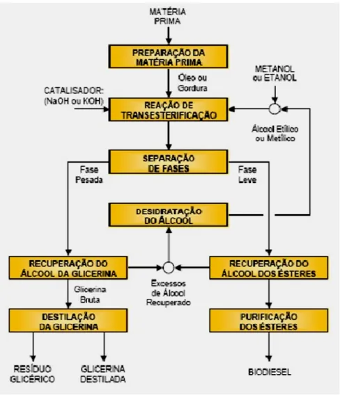 Figura 1 - Fluxograma do processo de produção do biodiesel e de seus coprodutos.  