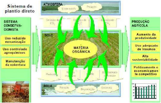 Figura  2  –  Esquema  do  impacto  do  plantio  direto  em  todo  o  sistema  produtivo  e  ambiental