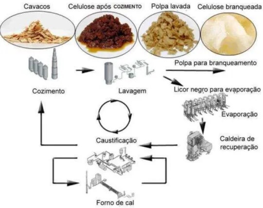 Figura 1-Fluxograma do processo Kraft.  Fonte: Morkfinesk (2005). 