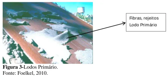 Figura 3-Lodos Primário.   Fonte: Foelkel, 2010. 
