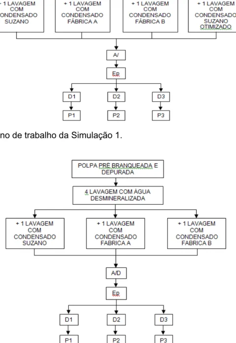 Figura 4: Plano de trabalho da Simulação 2. 