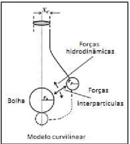 Figura  6  -  Modelo de colisão curvilínea, trajetória da partícula e da bolha de ar são  afetadas  por  interações  hidrodinâmicas  e  interpartículas