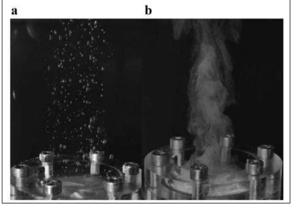 Figura 10 - Imagens de bolhas geradas pelo mesmo difusor. a) bolhas formadas por  fluxo constante e estável de ar, b) bolhas formadas por fluxo oscilatório de ar