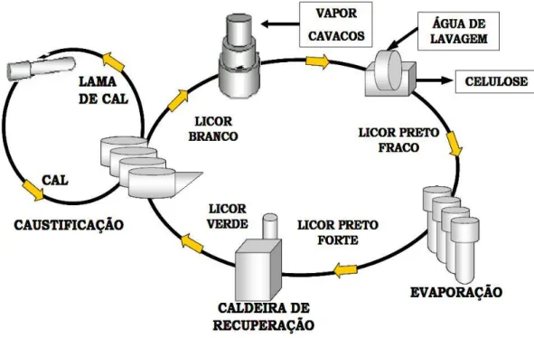 Figura 9 - Visão geral do ciclo de recuperação kraft (D'ALMEIDA, 1988)