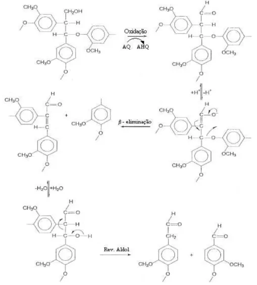 Figura  7.  Mecanismo  de  reação  da  estrutura  α-aril  éter  não  fenólica  da  lignina com a antraquinona (GRATZL e CHEN, 1993)