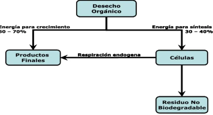 Figura 2: Esquema de utilización de la energía en síntesis biológica (Montoya). 