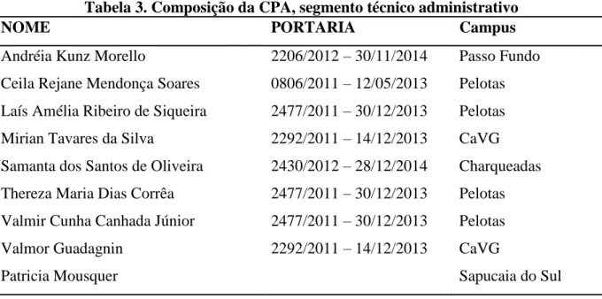 Tabela 3. Composição da CPA, segmento técnico administrativo 