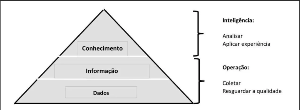 Figura 2. Pirâmide da Informação 