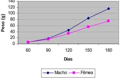 Figura 03 - Valores de peso médio mensal de machos e fêmeas por dias de  experimento em tilápia do Nilo