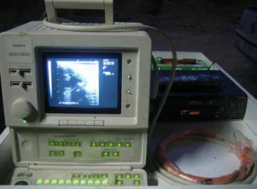 Figura 1. Aparelho de ultra-som utilizado nos experimentos, conectado ao videocassete  usado na gravação das imagens