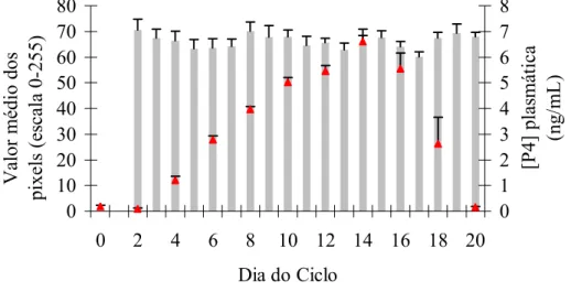 Figura 3. Média±EPM da [P 4 ] plasmática ( ▲ ) e dos valores de pixel (colunas) durante o  ciclo estral natural em bovinos