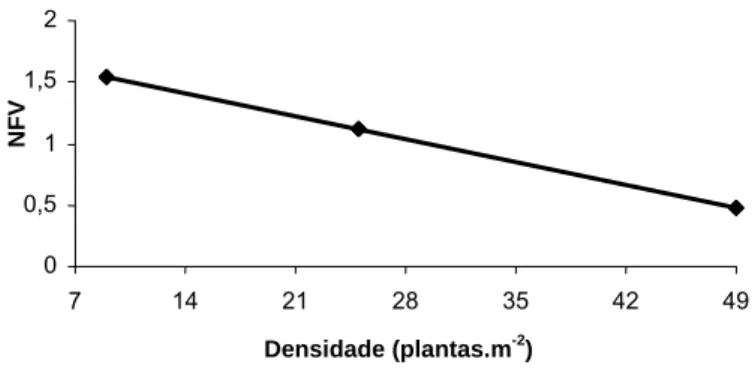 Figura 6: Número de folhas vivas (NFV) por perfilho do capim-tanzânia em  diferentes densidades durante o período das águas