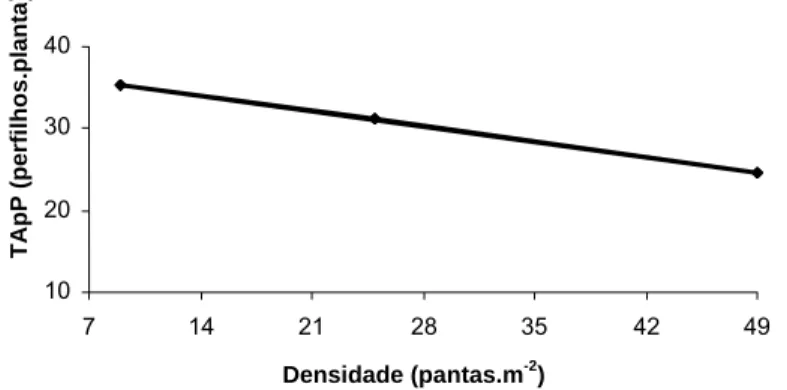 Figura 10: Taxa de aparecimento de perfilhos (TApP) do capim-tanzânia em  diferentes densidades durante o período de janeiro a agosto