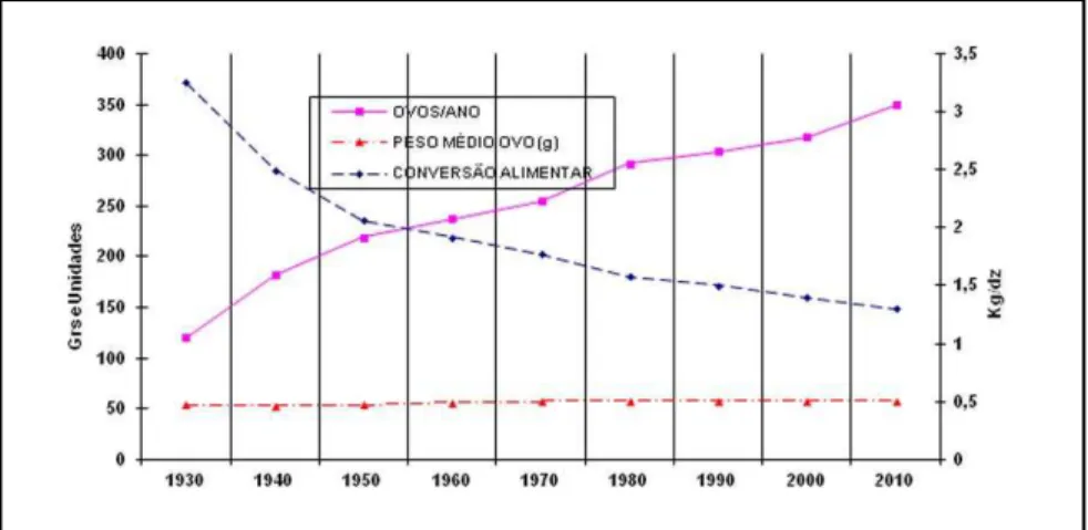 Figura 06: Evolução tecnológica na avicultura de corte Fonte: União Brasileira de Avicultura – UBA (2009)