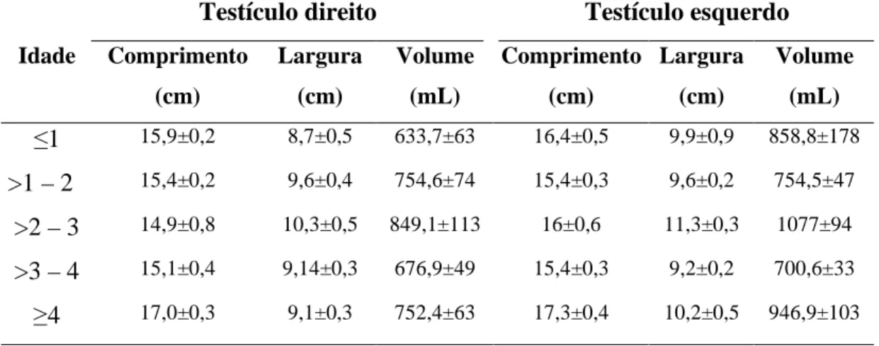 Tabela 4 – Valores  médios  da  biometria  e  volume  dos  testículos  de  varrões  com diferentes  idades  (anos)  alimentados  com  ração-padrão  +  1,0%  de glutamina – L-ácido glutâmico (Média±EPM)