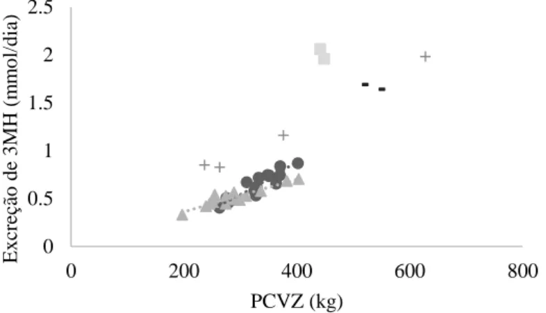 Figura 1. Excreção urinária de 3-metil-histidina em bovinos.  +  = Valores de novilhos por 