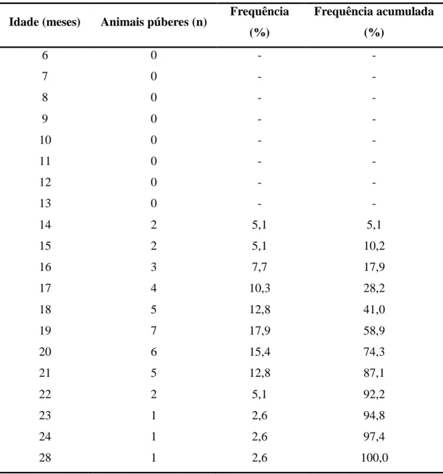 Tabela  2  – Frequência  e  frequência acumulada da  idade à puberdade de tourinhos da    raça Gir criados em condições semi-extensivas, de acordo com a idade 