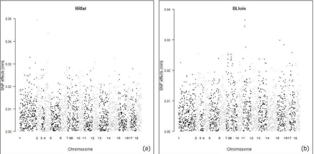 Figure  2.  Distribution  and  plot  of  effects  of  the  markers  in  carcass  traits:  (a)  backfat  thickness, (b) loin depth