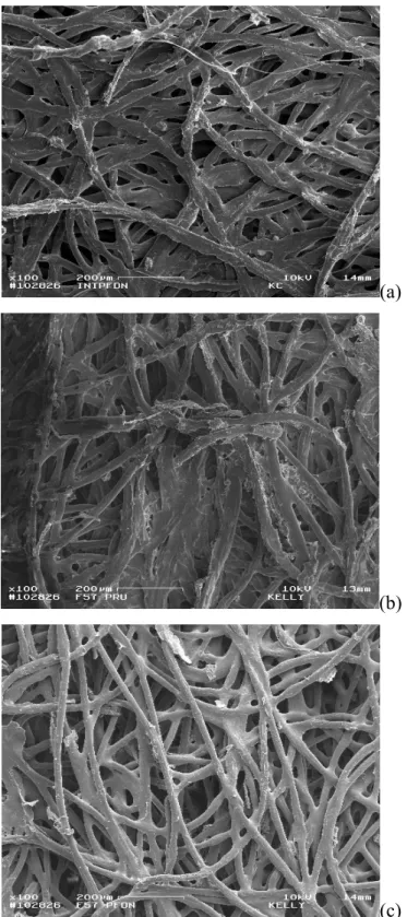 Figura 2 - Microfotografias eletrônicas de varredura do tecido F57 pré-incubação (a)  (100x), pós-incubação (b) (100x) e pós-tratamento com detergente neutro (c) (100x)