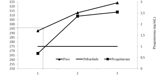 Figura 4  – Relação entre o peso e a puberdade. 