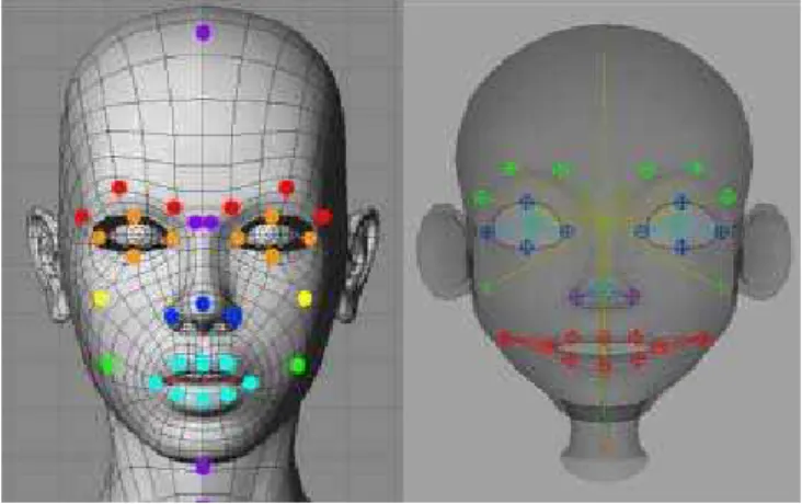Figure 2: Generic rig bone distribution (left) - it includes 34 main bones: 5 violet bones to  control the neck, head and upper nose, 6 red bones to control the eyebrows, 8 orange  bones to control the eyes, 2 yellow bones to control the cheeks, 2 green bo