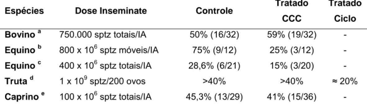 Tabela 4 : Efeito do tratamento do sêmen com CCC sobre a fertilidade dos  espermatozóides  in vivo 