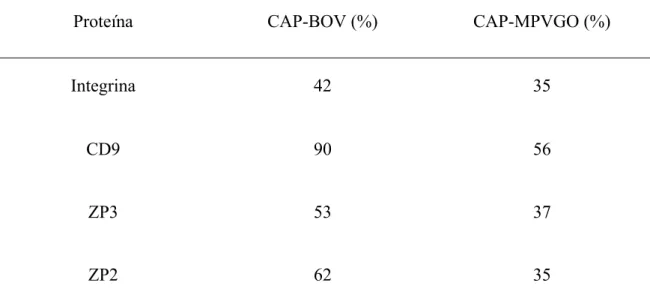 Tabela 06. Percentual de homologia entre as sequências gênicas das proteínas Integrina,  CD9, ZP3 e ZP2, entre caprinos e bovinos (CAP-BOV) e entre caprinos e  aves domesticas (CAP-MPVGO)