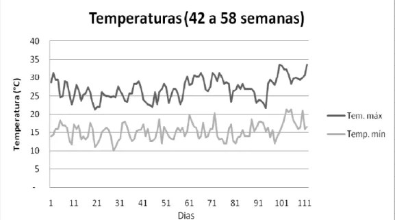 Figura 1 - Variação da temperaturas durante o período experimental.  Não  houve  efeito  significativo  da  interação  (P&gt;0,05)  entre  os  níveis  de  cálcio  e  as  relações  cálcio/fósforo  estudadas  para  nenhum  das  variáveis  avaliados
