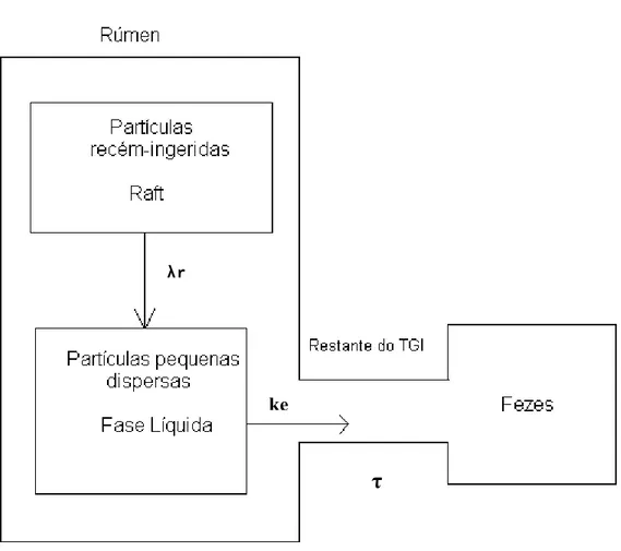 FIGURA 1 – Cinética de passagem de partículas no trato gastrintestinal (TGI). 
