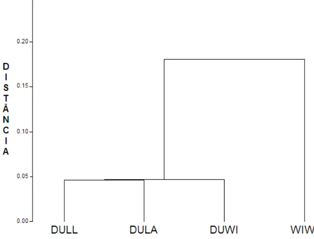 Figura  5,  Dendrograma  da  similaridade  entre  os  grupos  genéticos,  obtido  pelo  método  do 