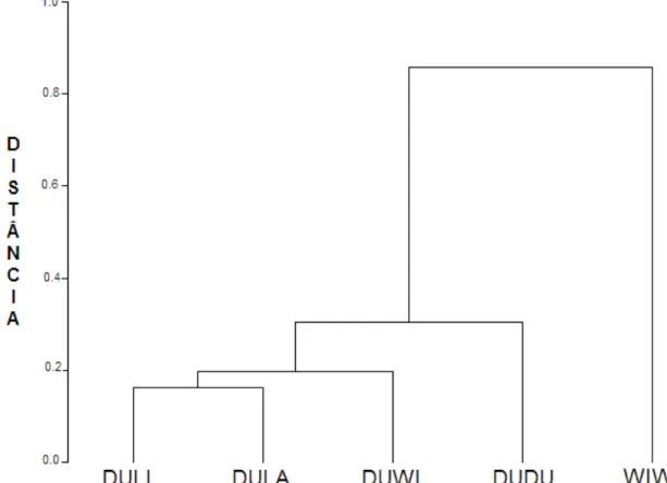 Figura  6,  Dendrograma  da  similaridade  entre  os  grupos  genéticos,  obtido  pelo  método  do 