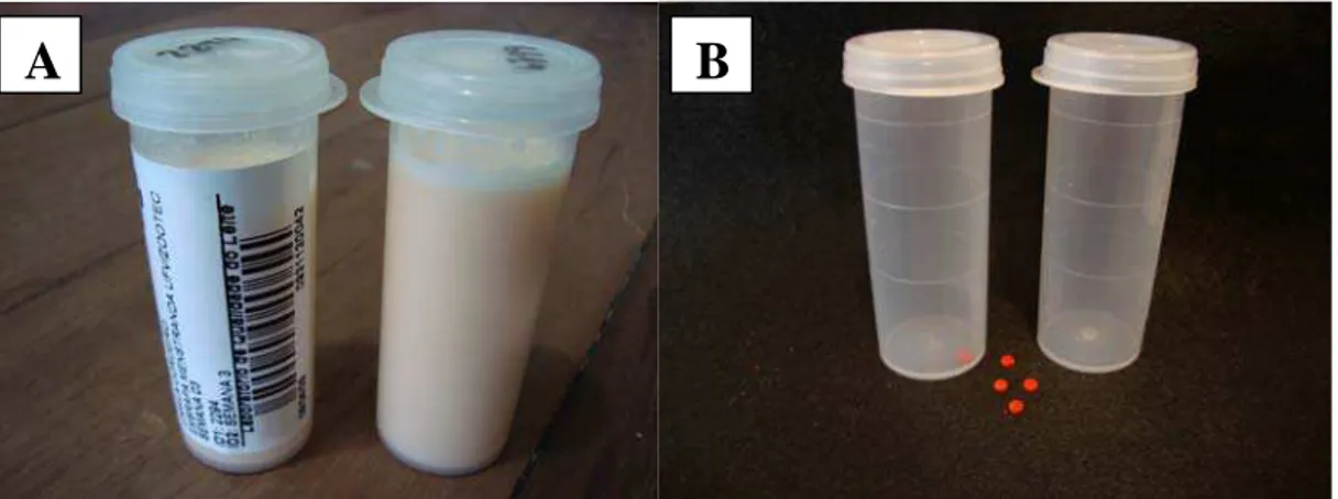 Figura 4 – A – Frascos com amostras de leite com conservante Bronopol ®  devidamente  identificados
