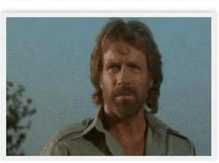 Figura 4 – GIF do Chuck Norris, ator conhecido por interpretar  homens durões, aqui comparado com o viril personagem Ninho 