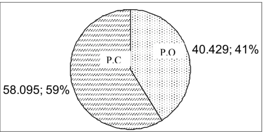 Figura 1: Distribuição de animais por composição  racial (P.C – Puro por cruza e P.O –  Puro por origem)