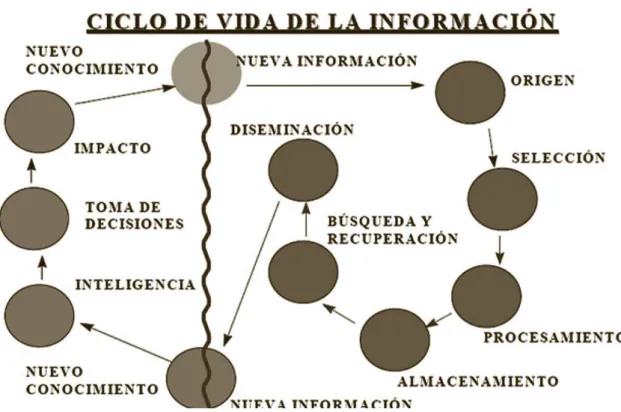 Gráfico 4 - Ciclo de vida de la información 