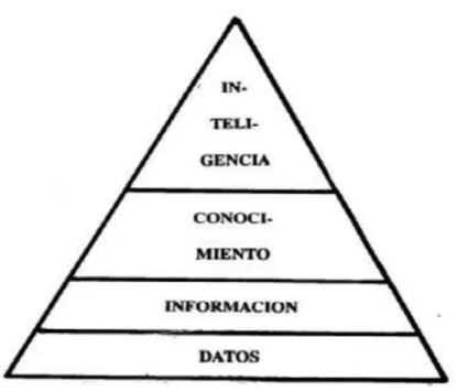 Gráfico 6 – Pirámide informacional 