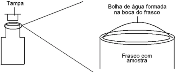 Figura  4   – Esquema ilustrando a armazenagem da amostra no frasco de modo a formar uma bolha de  água na boca do frasco, visando evitar a formação de bolhas de ar no interior dos frascos 