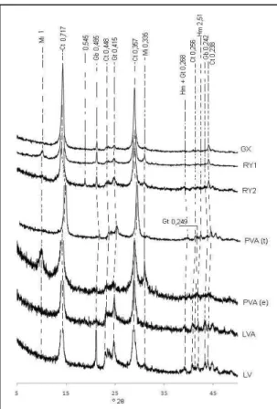 Figura 5- Composição mineralógica dos solos estudados.Mi – Mica (biotita), Ct- Caulinita, Hm – Hematita,  Gt-  Goethita,  Gb-  Gibbisita,  GX-  Gleissolo,  RY1-  Neossolo  Flúvico,  RY2-  Neossolo  Flúvico,  PVA  (e)-  Argissolo  Vermelho  Amarelo  fase  e