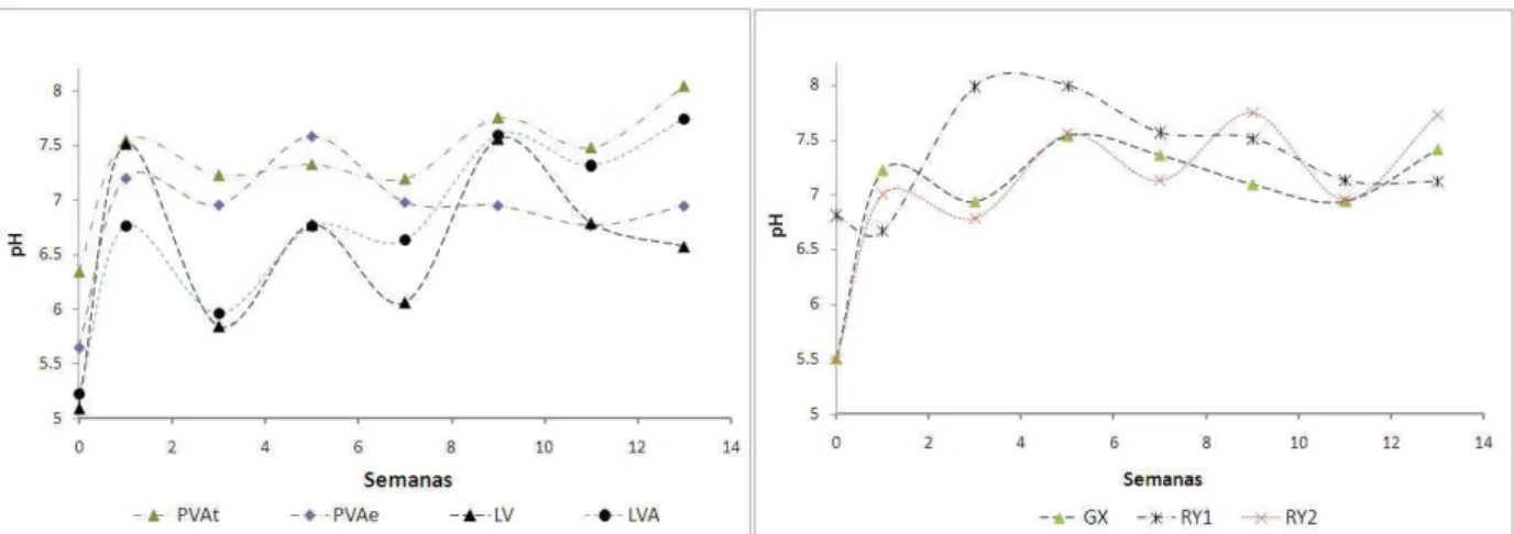 Figura  6  .  Variação  do  pH  X  tempo  de  incubação.  GX-  Gleissolo;  RY1  RY2-  Neossolo  Flúvico;  PVA  (t)-  Argissolo  Vermelho  Amarelo  fase  terraço;  PVA  (e)  Argissolo  Vermelho  Amarelo  fase  encosta;  LVA   -Latossolo Vermelho Amarelo; LV