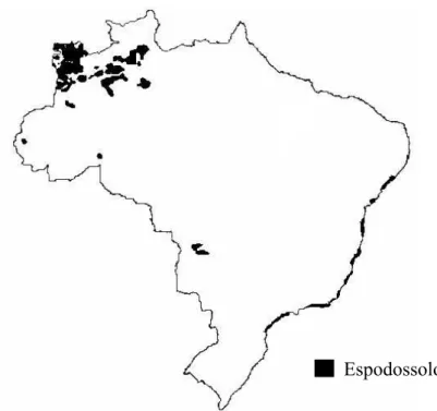 Figura 1. Ocorrência dos Espodossolos no Brasil em nível de dominância (IBGE,  2007). 