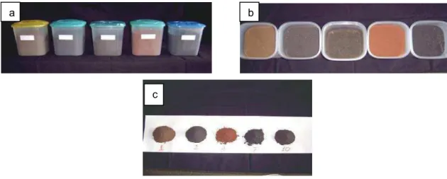 Figura 5. a) Amostras dos cinco PD’s selecionadas para análise dos teores totais de metais  pesados; b e c) Diferenças de coloração evidenciando algumas de suas  características físicas