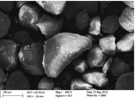 Figura 20  – Ambiente A: Micrografia de grãos de areia capeados – APAE Pandeiros 
