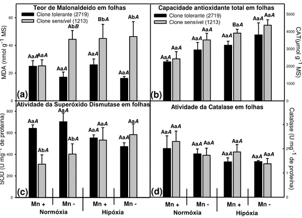 Figura  4:  Atividades  enzimáticas  e  metabólitos  em  folhas  de  mudas  dois  clones  de  Eucalyptus  em  hidroponia  em  resposta  aos  tratamentos  testados